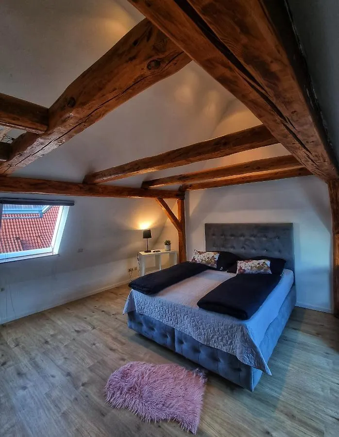 Langenzenn - Ikon Immoleasing Apartment